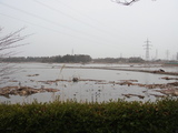 3月20日：冠水したままの田畑